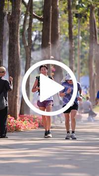 BIB:  <button type="button" onclick="openModal(27611579)" class="btn btn-primary btn-sm float-right" data-toggle="modal" data-target=".modal-high-quality">
                <i class="fa fa-download"></i> Download
                </button>